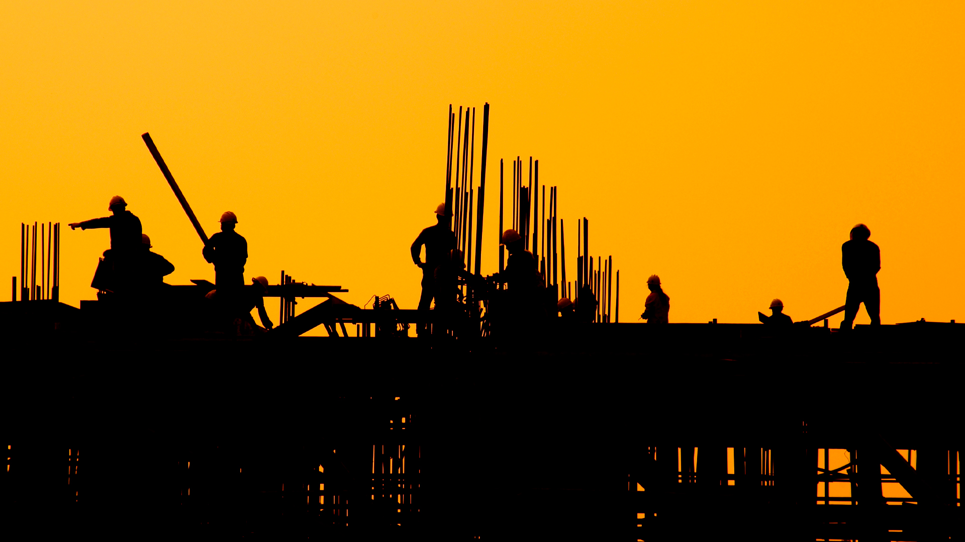 Shaping the Industry: